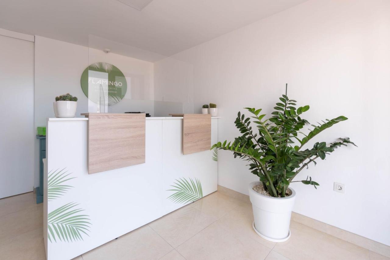 Apartamentos Flamingo Puerto del Carmen  Zewnętrze zdjęcie